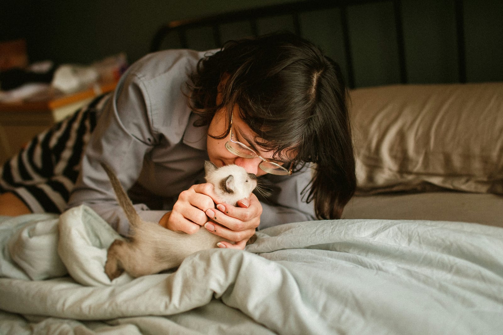 Dueña besando a su gatito siamés