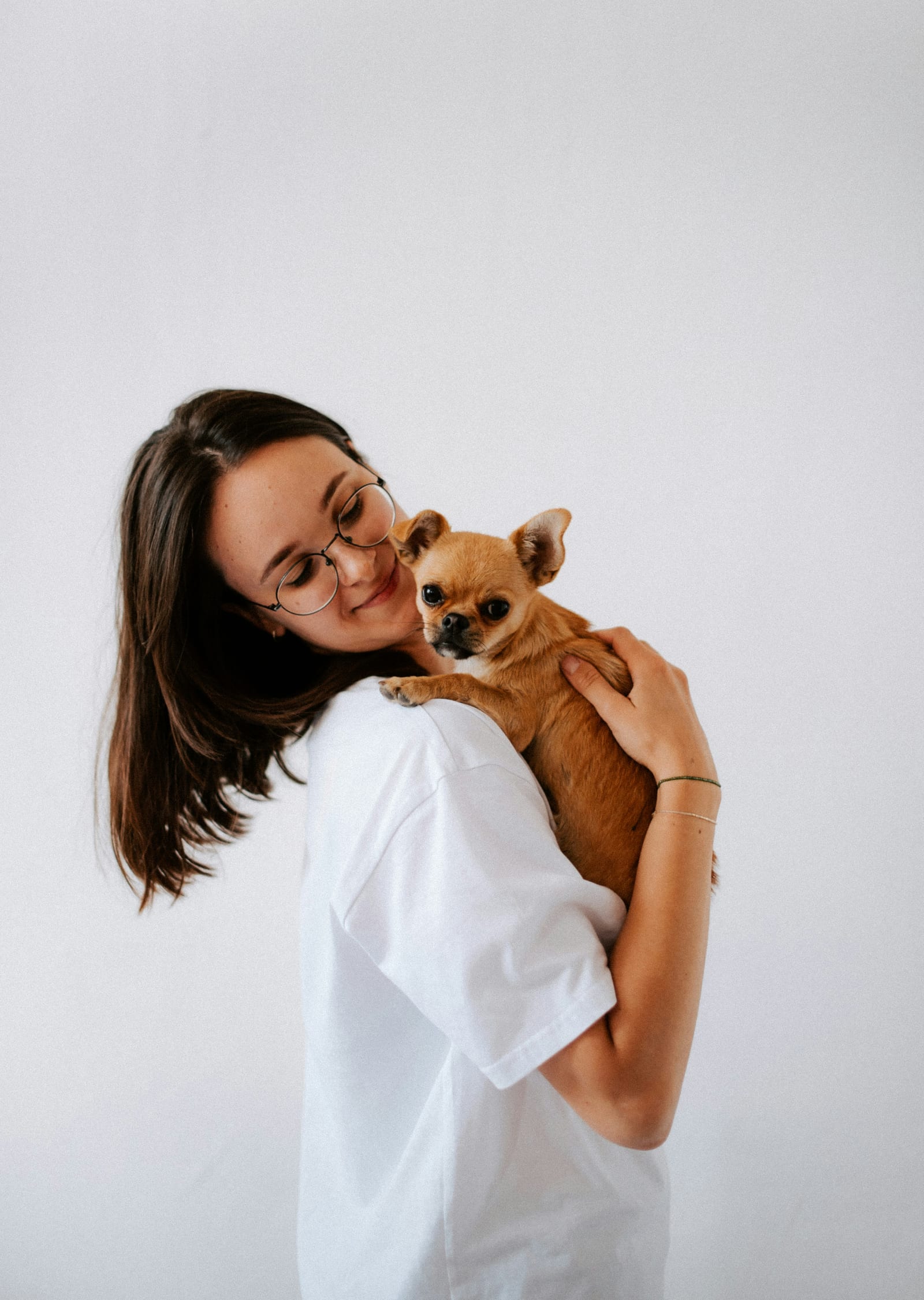 Esterilización de mascotas: cuándo, por qué y qué esperar
