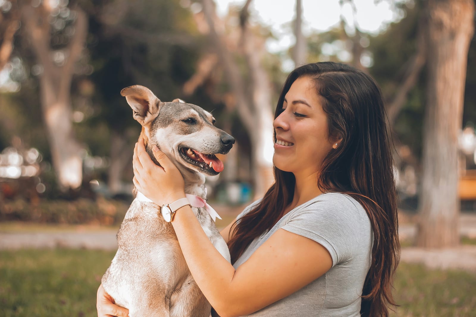 Cómo compartir el historial médico de tu mascota con tu veterinario