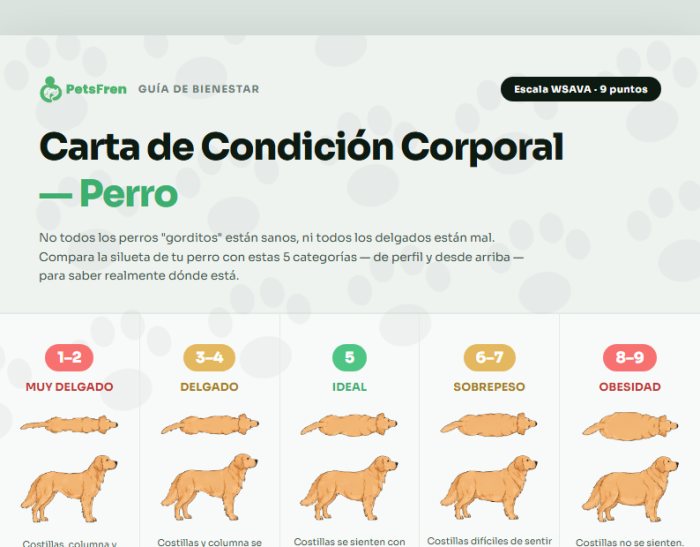 Carta de Condición Corporal — Perro
